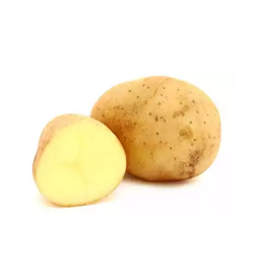 Potato