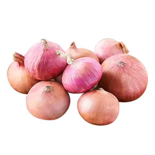 Onion