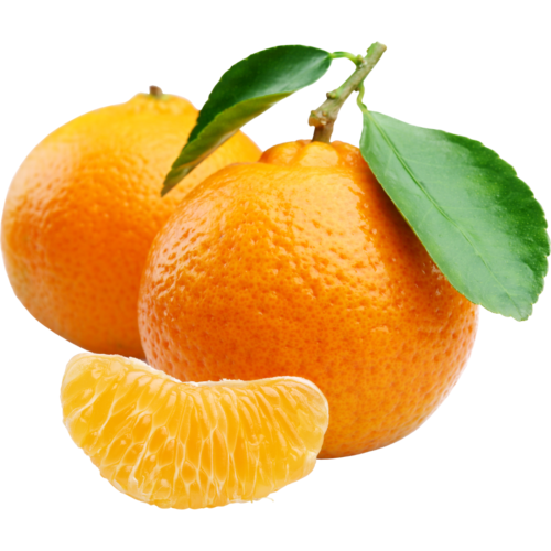 fresh Orange